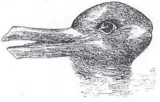 Иллюстрация к книге — Удивительные истории о мозге, или рекорды памяти коноплянки [i_021.jpg]