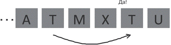 Иллюстрация к книге — Удивительные истории о мозге, или рекорды памяти коноплянки [i_025.jpg]