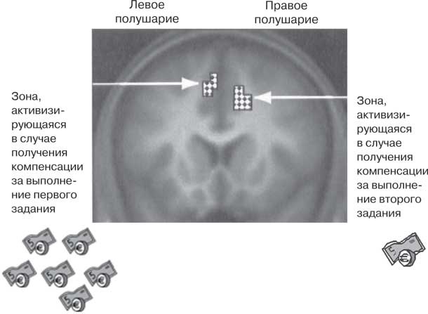 Иллюстрация к книге — Удивительные истории о мозге, или рекорды памяти коноплянки [i_028.jpg]