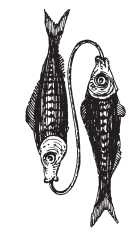 Иллюстрация к книге — Звезды и судьбы 2017. Самый полный гороскоп [i_145.jpg]