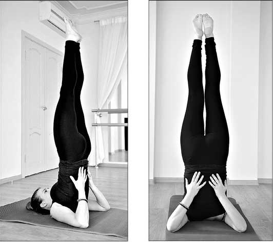 Иллюстрация к книге — Система &quot;ХОди и ХОрошей&quot; [i_004.jpg]