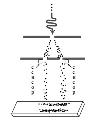 Иллюстрация к книге — Мерцающие [_01.jpg]