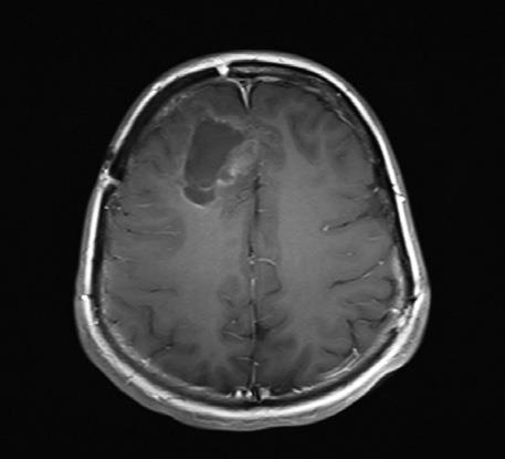 Иллюстрация к книге — Завтра начинается сегодня. Как воспользоваться достижениями anti-age медицины [i_008.jpg]