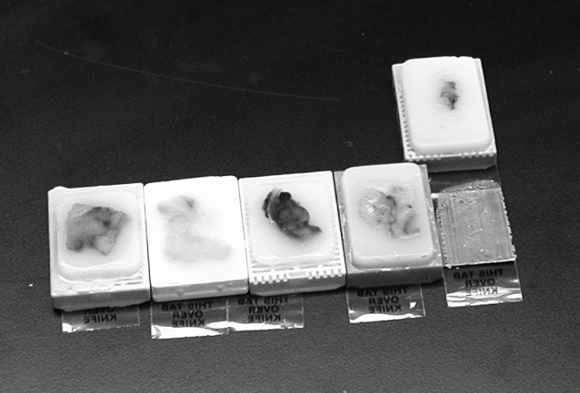 Иллюстрация к книге — Завтра начинается сегодня. Как воспользоваться достижениями anti-age медицины [i_020.jpg]