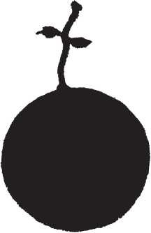 Иллюстрация к книге — Головоломки. Фокусы. Задачи. Игры. Развлечения [i_054.jpg]