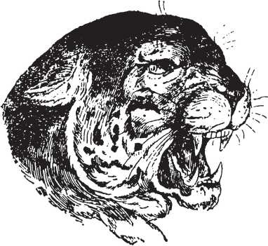 Иллюстрация к книге — Головоломки. Фокусы. Задачи. Игры. Развлечения [i_057.jpg]