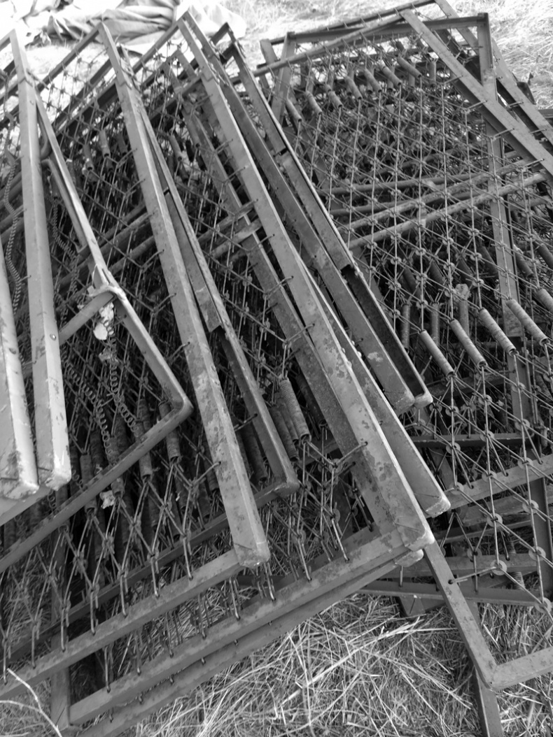 Иллюстрация к книге — Саур-Могила. Военные дневники (сборник) [i_004.jpg]