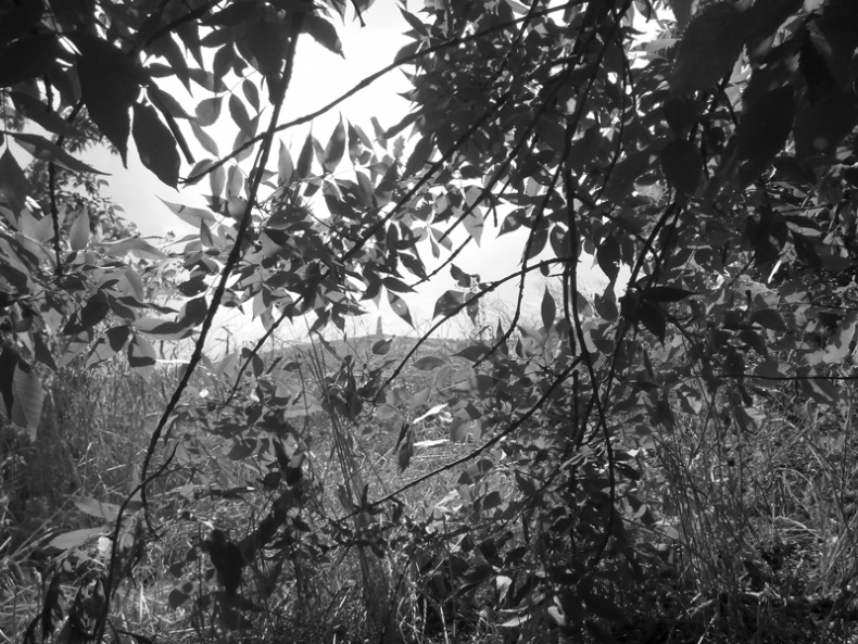 Иллюстрация к книге — Саур-Могила. Военные дневники (сборник) [i_022.jpg]