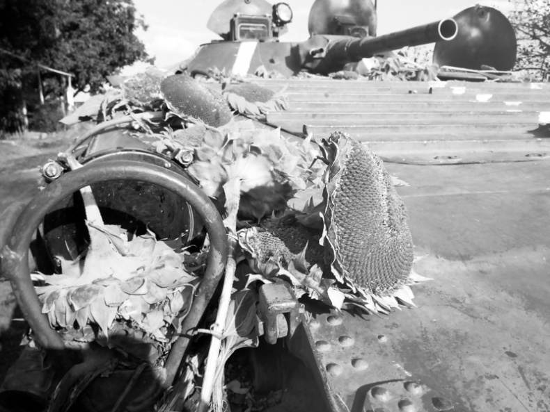 Иллюстрация к книге — Саур-Могила. Военные дневники (сборник) [i_023.jpg]