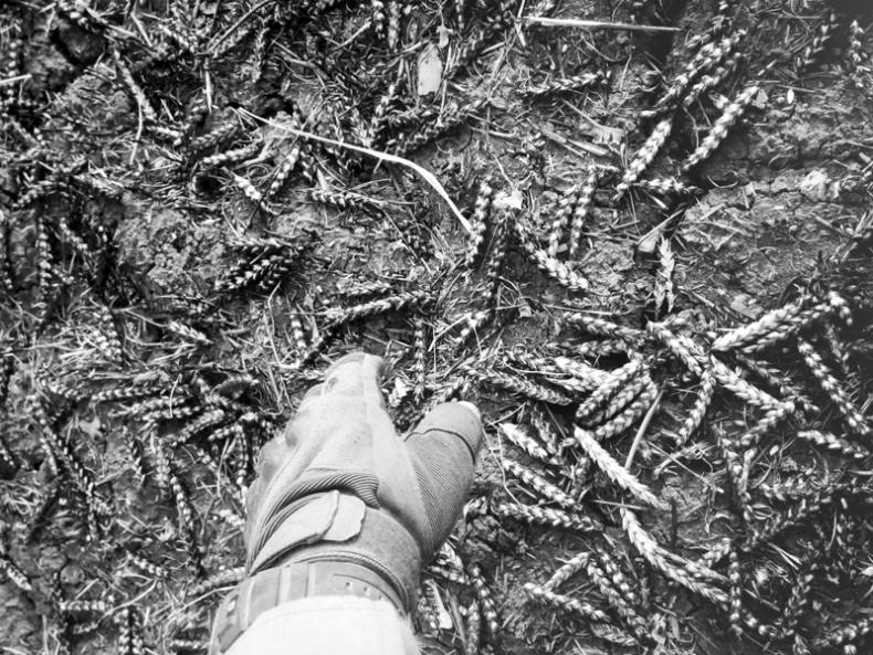 Иллюстрация к книге — Саур-Могила. Военные дневники (сборник) [i_041.jpg]