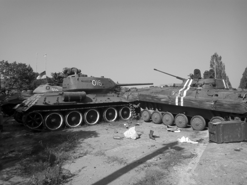 Иллюстрация к книге — Саур-Могила. Военные дневники (сборник) [i_042.jpg]