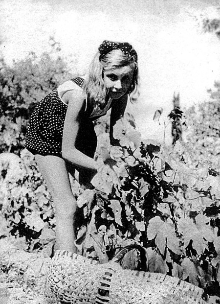 Иллюстрация к книге — Они. Воспоминания о родителях [i_020.jpg]