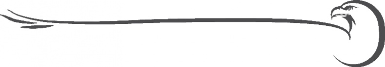 Иллюстрация к книге — &quot;Я&quot; значит &quot;ястреб&quot; [i_001.jpg]