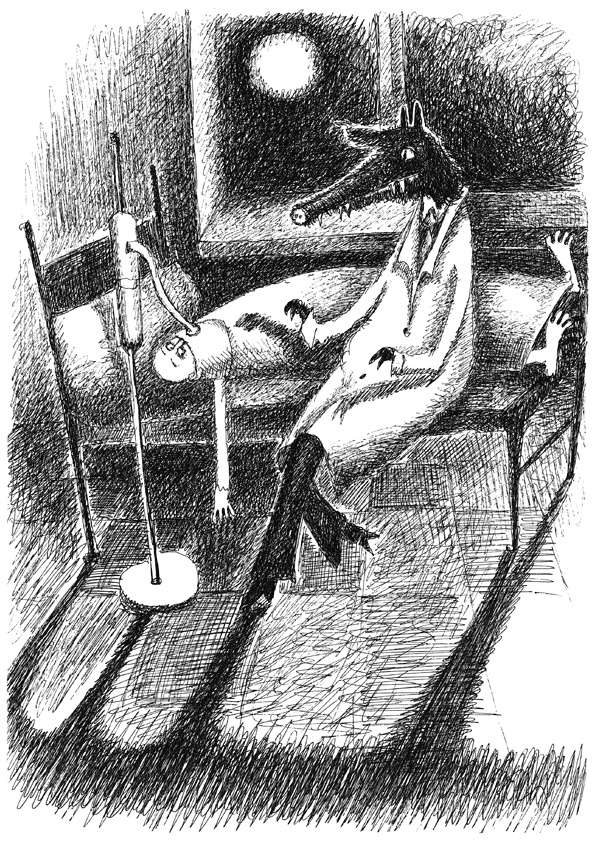 Иллюстрация к книге — Светофор, шушера и другие граждане [i_027.jpg]