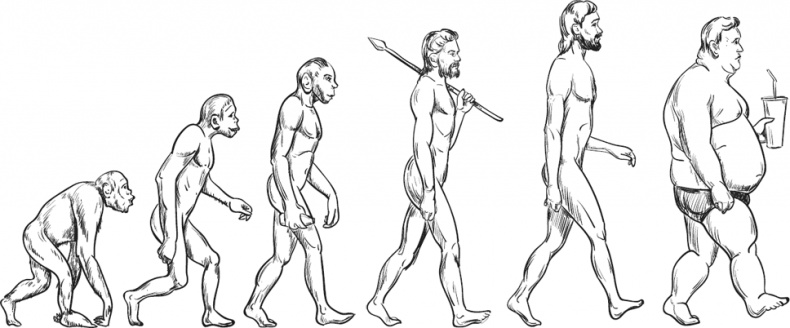 Иллюстрация к книге — Мой лучший друг - желудок. Еда для умных людей [i_027.jpg]