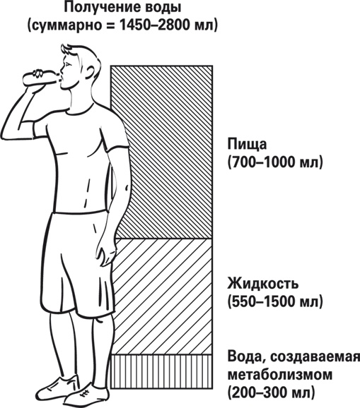 Иллюстрация к книге — Мой лучший друг - желудок. Еда для умных людей [i_050.jpg]
