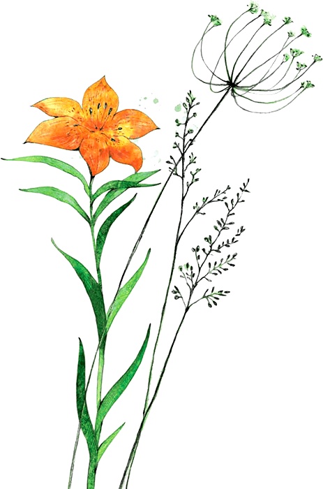 Иллюстрация к книге — Сказка о храбром богатыре Узоне и его возлюбленной Наюн. По мотивам корякской легенды [i_001.jpg]