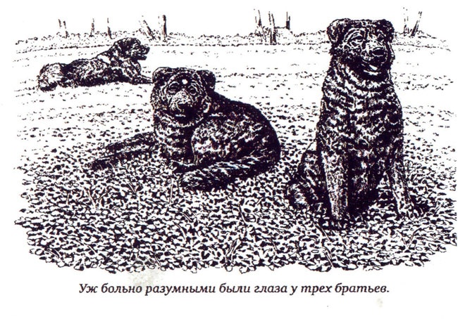 Иллюстрация к книге — Утраченная реликвия [i_002.jpg]