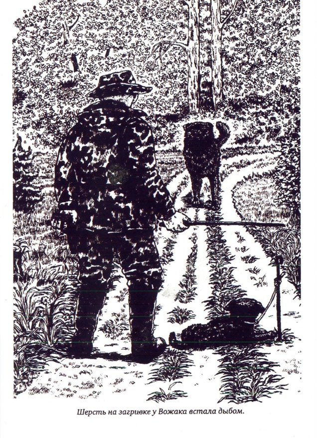 Иллюстрация к книге — Вожак и его друзья [i_010.jpg]