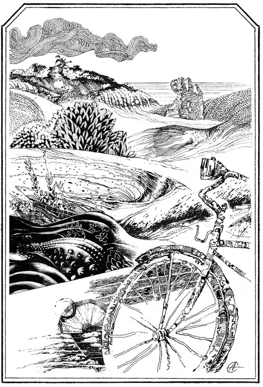 Иллюстрация к книге — Ашкелонские хроники. 2010 – 2014 (сборник) [i_001.jpg]