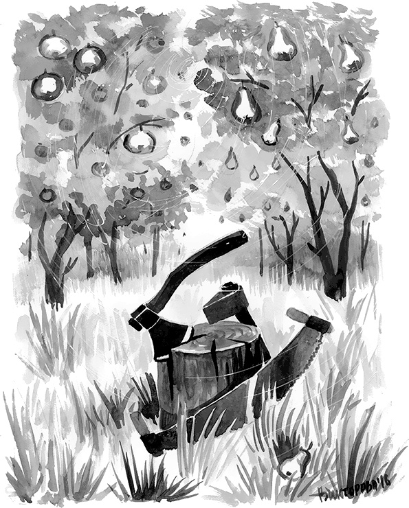 Иллюстрация к книге — Южнорусское Овчарово [i_017.jpg]