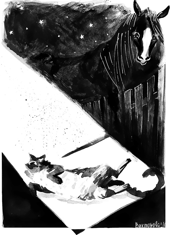 Иллюстрация к книге — Южнорусское Овчарово [i_022.jpg]