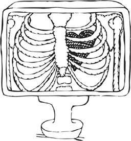 Иллюстрация к книге — Высокое давление. Справочник пациента [i_014.jpg]