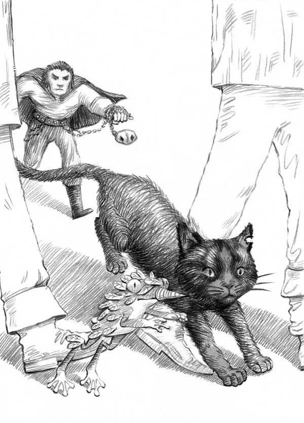 Иллюстрация к книге — Фамильяры. Книга 1. Трое против ведьмы [i_016.jpg]