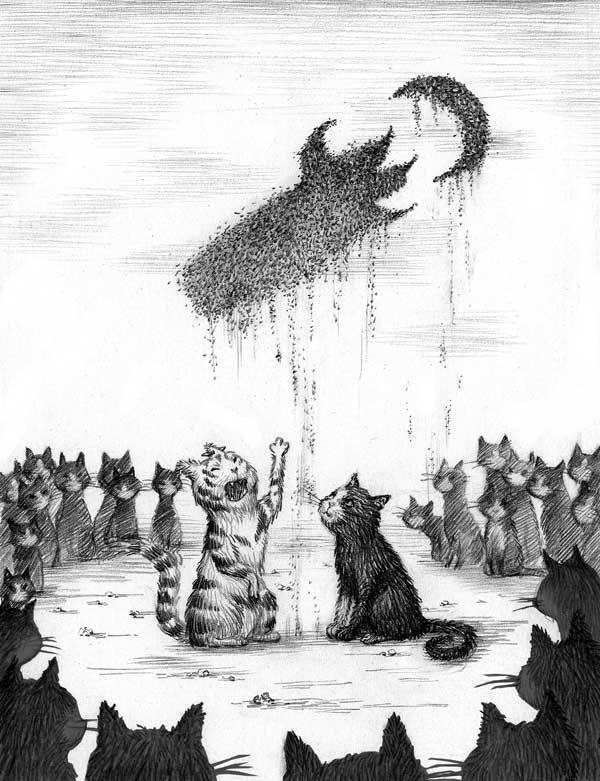 Иллюстрация к книге — Фамильяры. Книга 1. Трое против ведьмы [i_020.jpg]