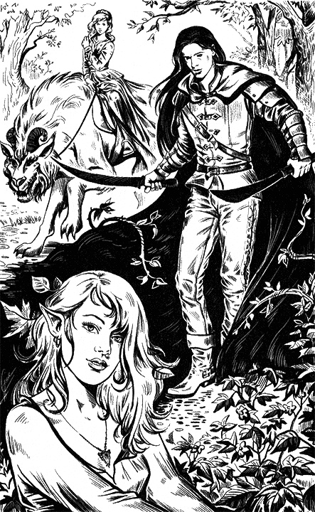 Иллюстрация к книге — Фея для лорда тьмы [i_002.jpg]