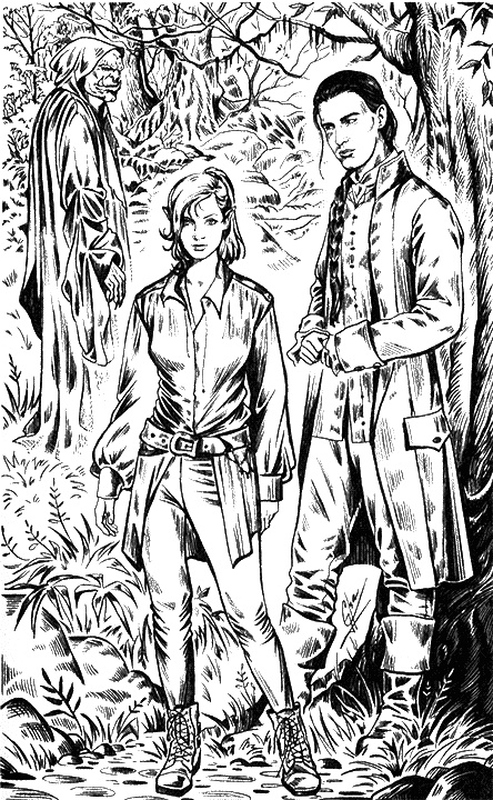 Иллюстрация к книге — Фея для лорда тьмы [i_009.jpg]