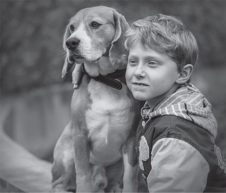 Иллюстрация к книге — Капсула для копирайтера [i_023.jpg]