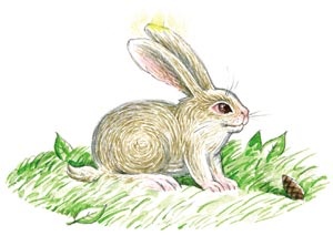 Иллюстрация к книге — Сказки зайца Золотое Ушко [i_003.jpg]