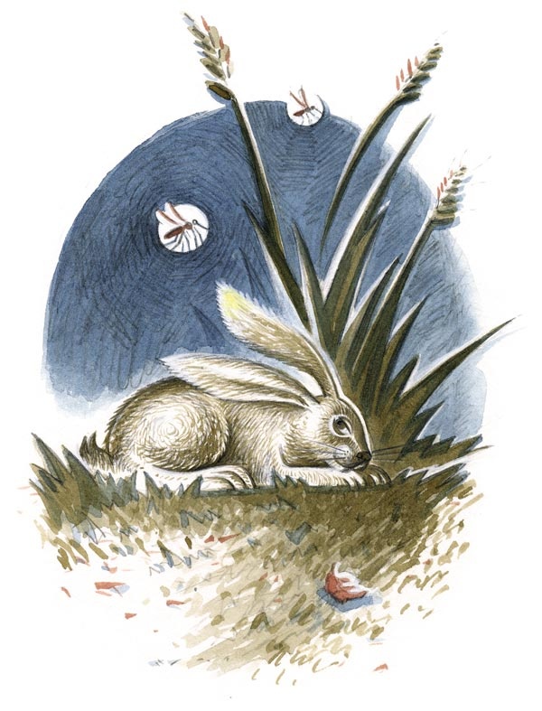 Иллюстрация к книге — Сказки зайца Золотое Ушко [i_021.jpg]