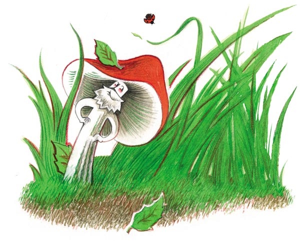 Иллюстрация к книге — Сказки зайца Золотое Ушко [i_025.jpg]