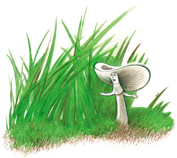 Иллюстрация к книге — Сказки зайца Золотое Ушко [i_026.jpg]