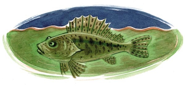 Иллюстрация к книге — Сказки зайца Золотое Ушко [i_032.jpg]