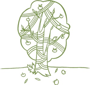 Иллюстрация к книге — Маленький исследователь. 52 увлекательных занятия на свежем воздухе [i_006.jpg]