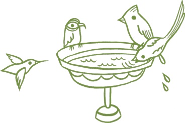 Иллюстрация к книге — Маленький исследователь. 52 увлекательных занятия на свежем воздухе [i_007.jpg]