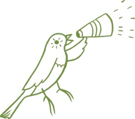 Иллюстрация к книге — Маленький исследователь. 52 увлекательных занятия на свежем воздухе [i_008.jpg]