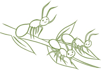 Иллюстрация к книге — Маленький исследователь. 52 увлекательных занятия на свежем воздухе [i_012.jpg]