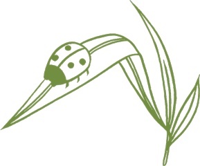 Иллюстрация к книге — Маленький исследователь. 52 увлекательных занятия на свежем воздухе [i_013.jpg]