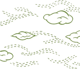 Иллюстрация к книге — Маленький исследователь. 52 увлекательных занятия на свежем воздухе [i_023.jpg]