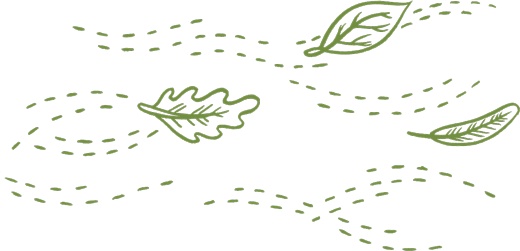 Иллюстрация к книге — Маленький исследователь. 52 увлекательных занятия на свежем воздухе [i_024.jpg]