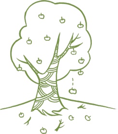 Иллюстрация к книге — Маленький исследователь. 52 увлекательных занятия на свежем воздухе [i_025.jpg]