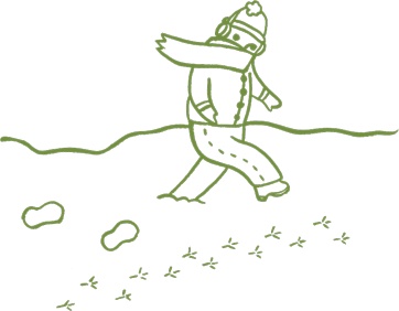 Иллюстрация к книге — Маленький исследователь. 52 увлекательных занятия на свежем воздухе [i_031.jpg]