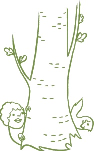 Иллюстрация к книге — Маленький исследователь. 52 увлекательных занятия на свежем воздухе [i_033.jpg]