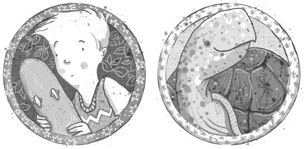 Иллюстрация к книге — Школа волшебных зверей. Выключите свет! [i_009.jpg]