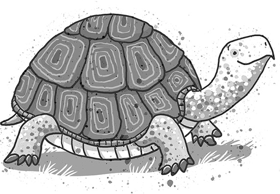 Иллюстрация к книге — Школа волшебных зверей. Выключите свет! [i_023.jpg]