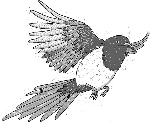 Иллюстрация к книге — Школа волшебных зверей. Выключите свет! [i_041.jpg]